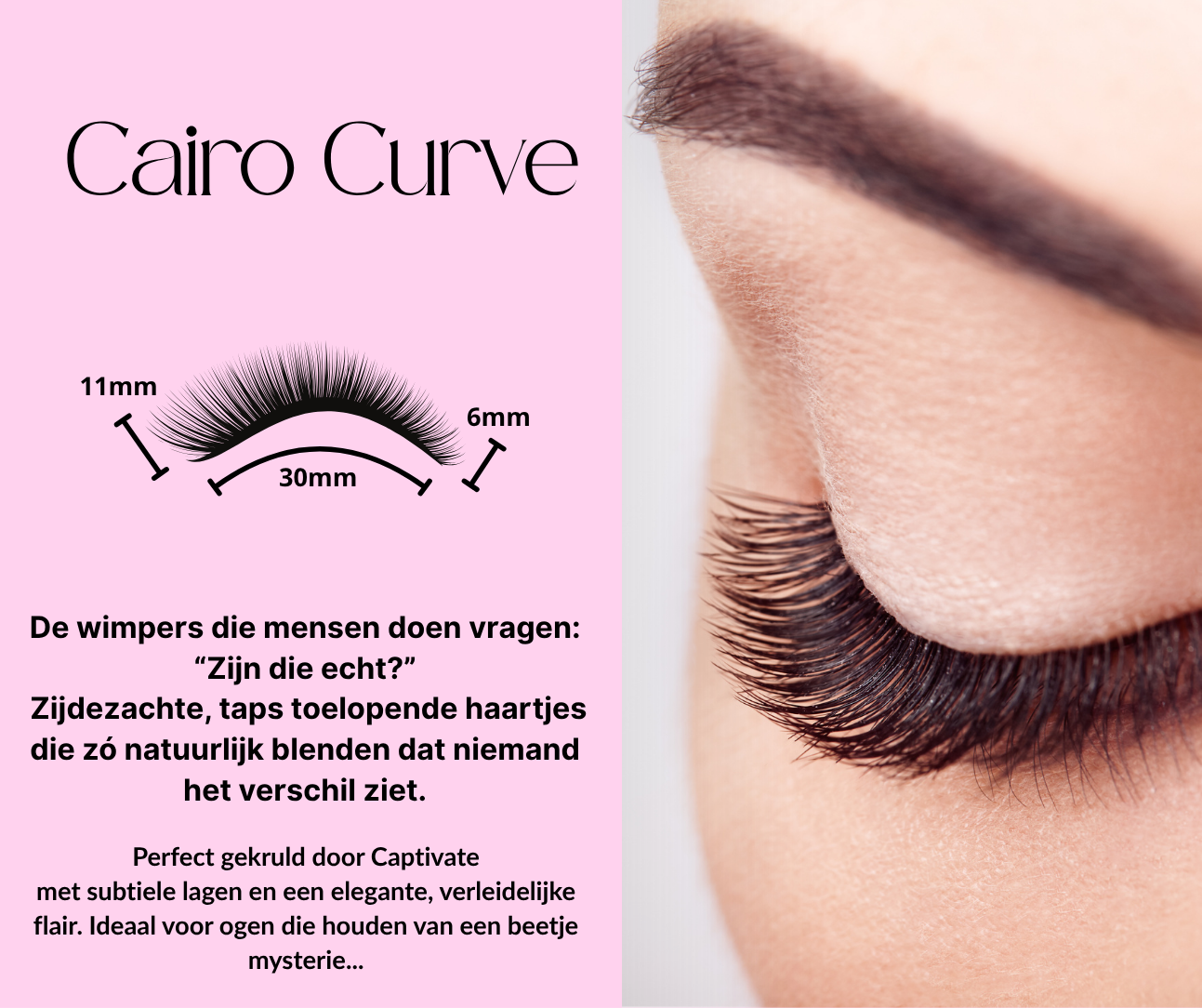 Velvet ProLash - Dibrando.com